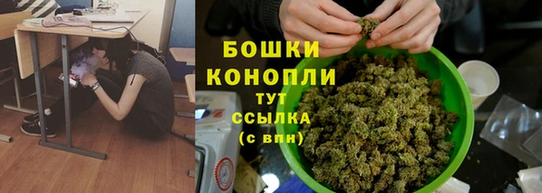 дурь Дмитриев