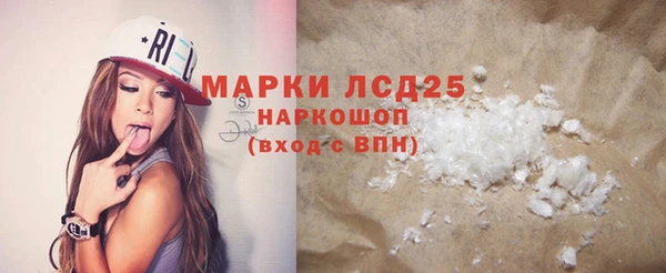 СК Дмитров