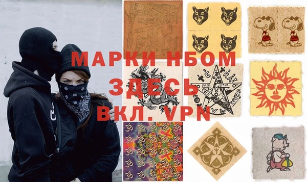 СК Дмитров