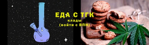 СК Дмитров