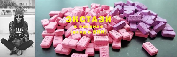 СК Дмитров