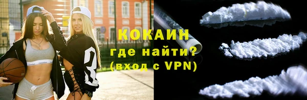 дурь Дмитриев