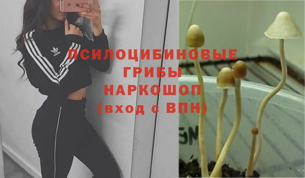 скорость Дмитровск