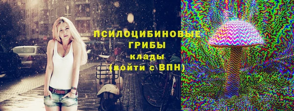 шишки Щигры