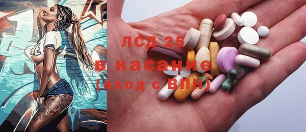 сатива Пересвет
