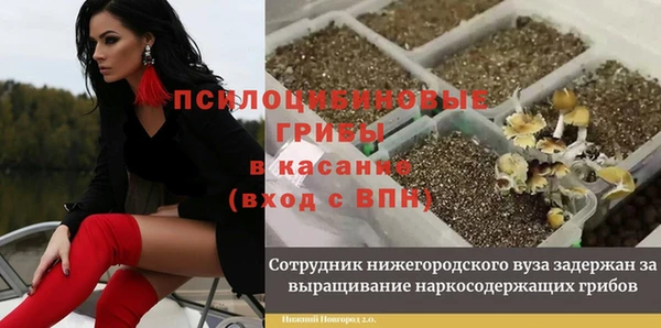 дурь Дмитриев