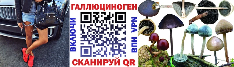 Галлюциногенные грибы прущие грибы  Полесск 